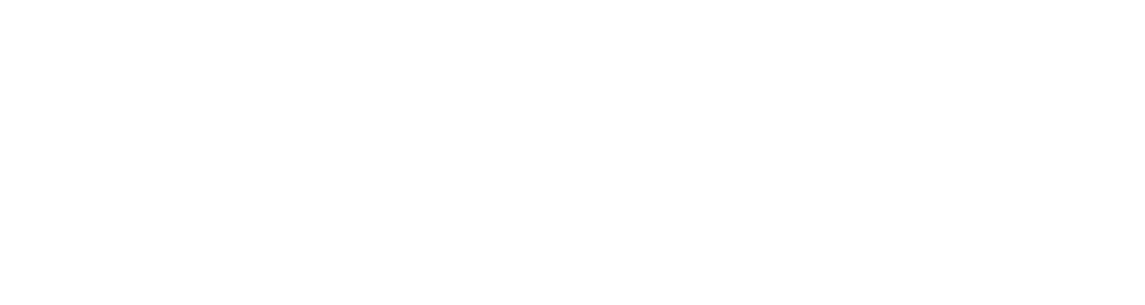 San Juan Designs — Web & Print